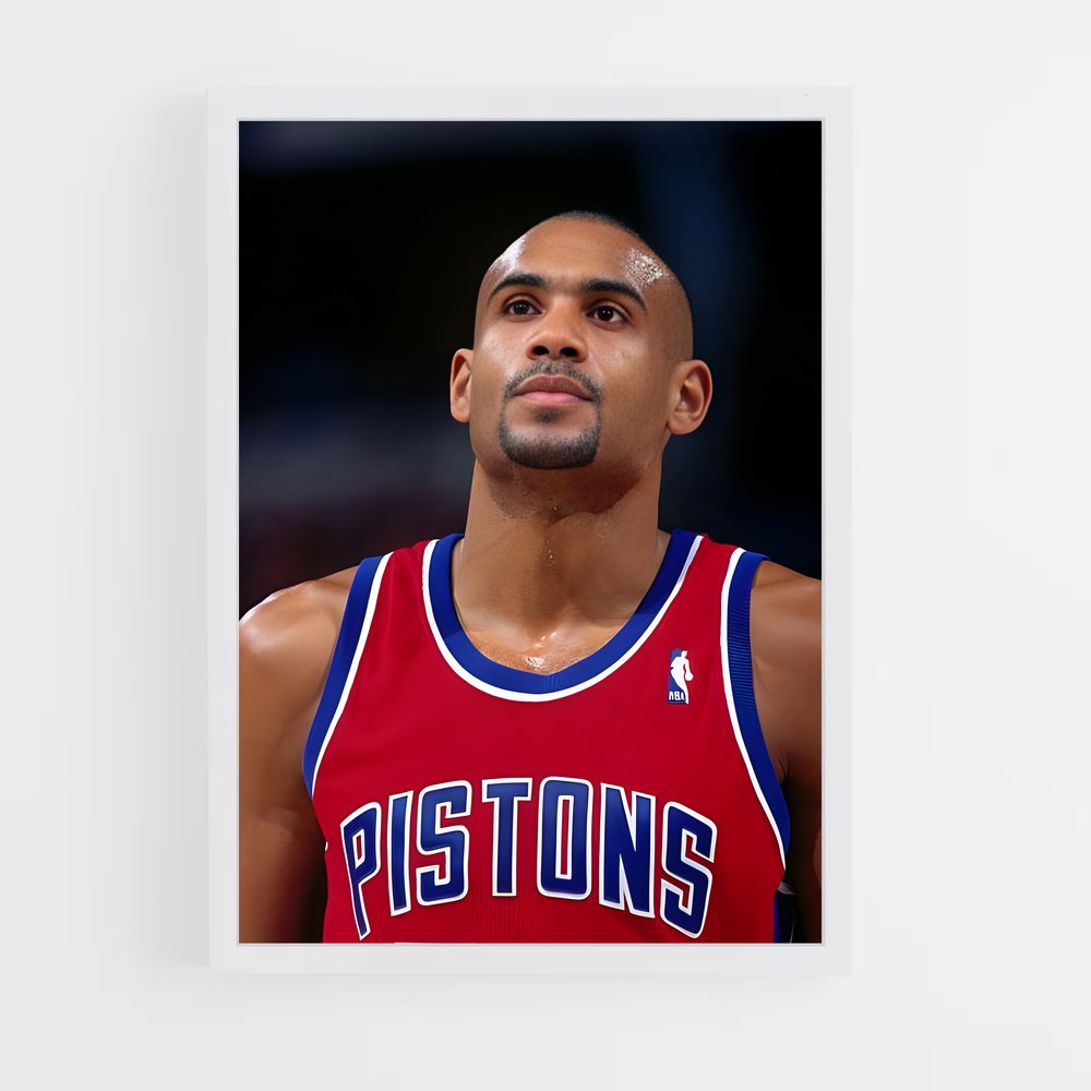 Poster Grant Hill Basketball (vue 3)
